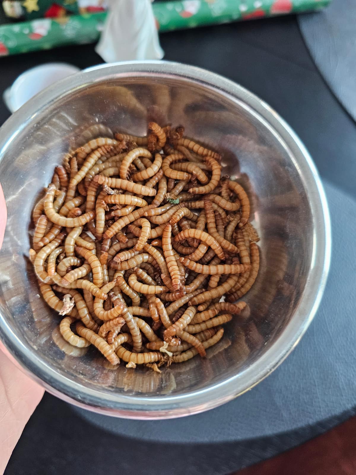 Insekter 3